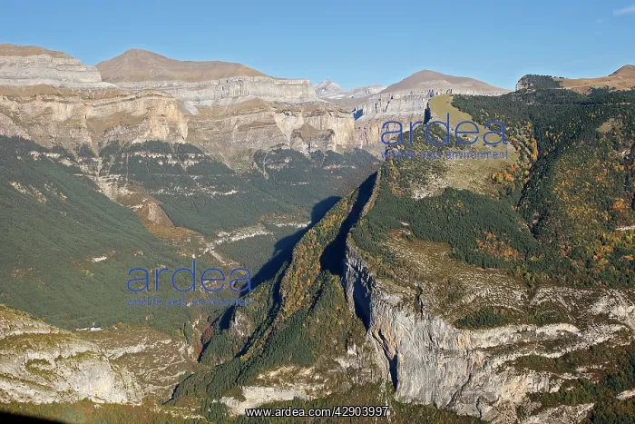 : Ordesa Valley - Ordesa y Monte Perdido National Park : Ordesa Valley - Ordesa y Monte Perdido National Park