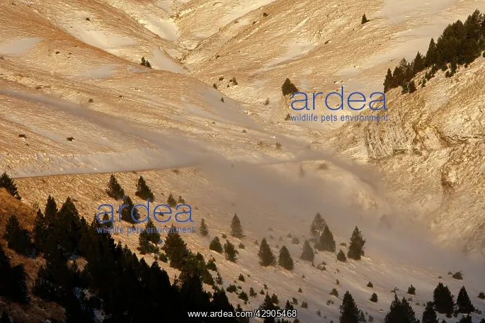 : Ordesa Valley - Ordesa y Monte Perdido National Park : Ordesa Valley - Ordesa y Monte Perdido National Park