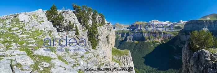 : Ordesa valley, Ordesa y Monte Perdido National Park : Ordesa valley, Ordesa y Monte Perdido National Park