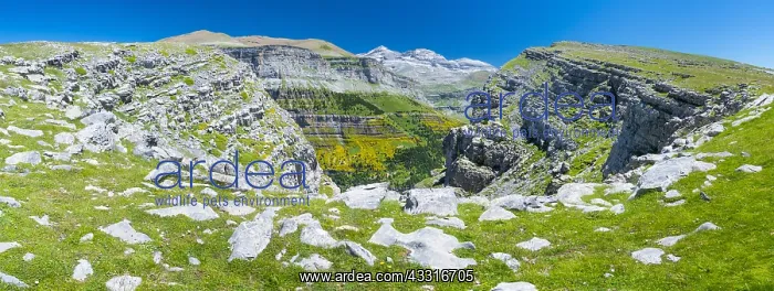 : Ordesa valley, Ordesa y Monte Perdido National Park : Ordesa valley, Ordesa y Monte Perdido National Park