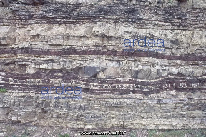 : Ordovician Sedimentary Strata : Ordovician Sedimentary Strata