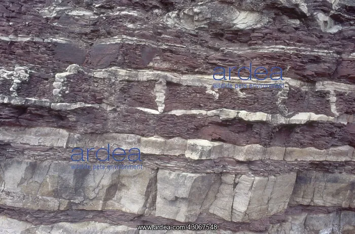 : Ordovician Sedimentary Strata : Ordovician Sedimentary Strata