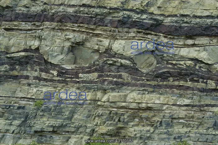 : Ordovician Sedimentary Strata : Ordovician Sedimentary Strata