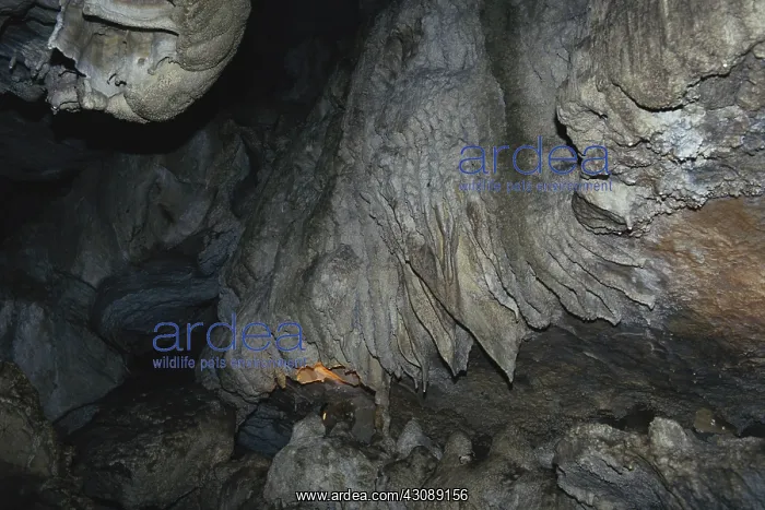 : Oregon Caves National Monument : Oregon Caves National Monument