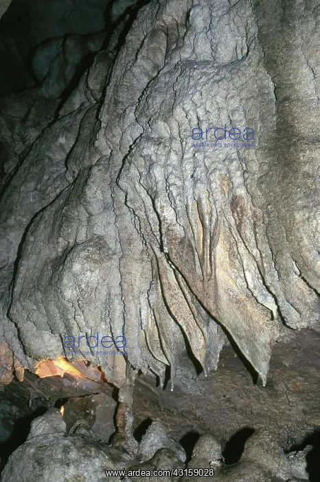 : Oregon Caves National Monument : Oregon Caves National Monument