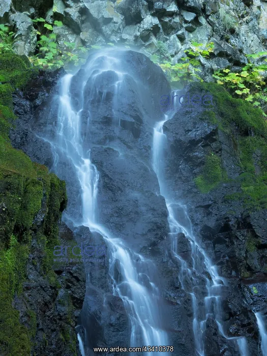 : Oregon, Columbia River Gorge National Scenic Area : Oregon, Columbia River Gorge National Scenic Area