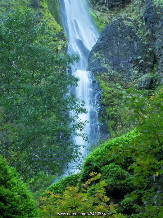 : Oregon, Columbia River Gorge National Scenic Area : Oregon, Columbia River Gorge National Scenic Area