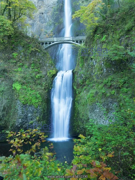 : Oregon, Columbia River Gorge National Scenic Area : Oregon, Columbia River Gorge National Scenic Area