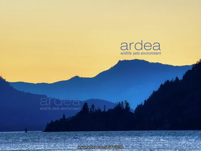 : Oregon, Columbia River Gorge National Scenic Area : Oregon, Columbia River Gorge National Scenic Area