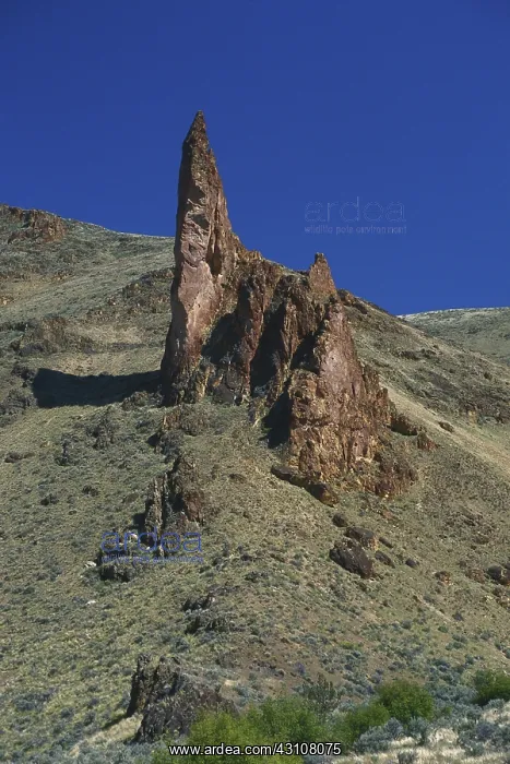 : Oregon Rhyolite Formation : Oregon Rhyolite Formation