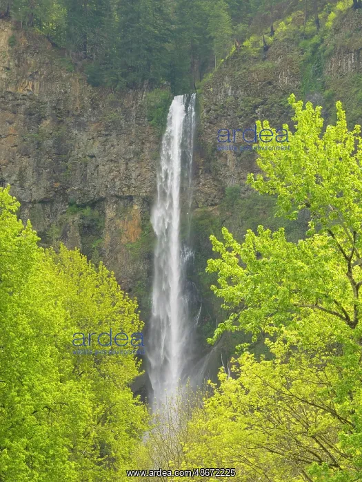 : Oregon, USA. Columbia River Gorge National Scenic Area : Oregon, USA. Columbia River Gorge National Scenic Area