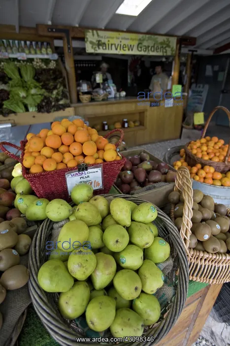 : Organic Produce Stand : Organic Produce Stand