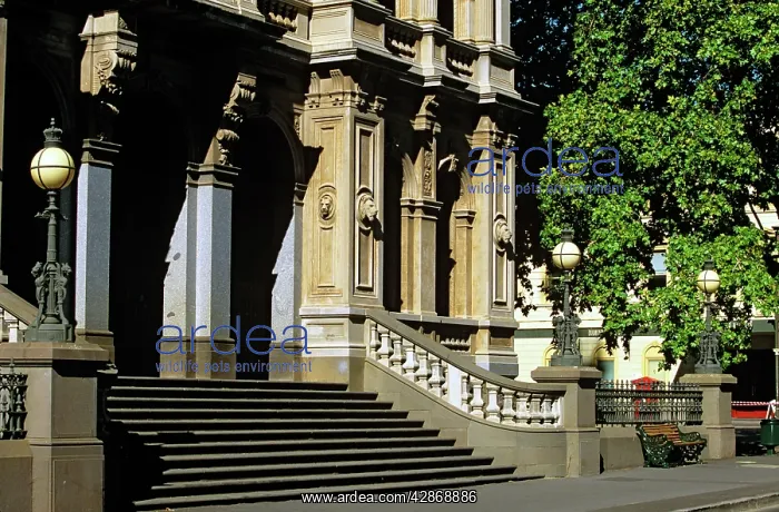 : Original post office (1869) Bendigo : Original post office (1869) Bendigo