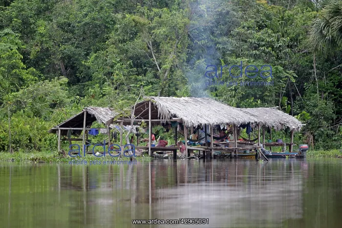 : Orinoco Delta Warao Indians : Orinoco Delta Warao Indians