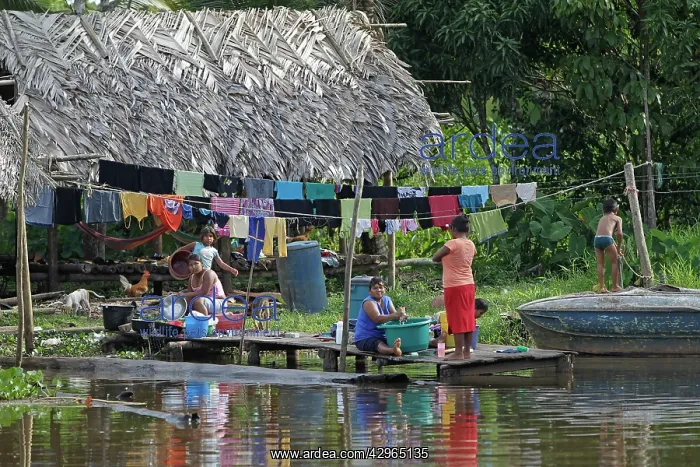 : Orinoco Delta Warao Indians - washing clothes : Orinoco Delta Warao Indians - washing clothes