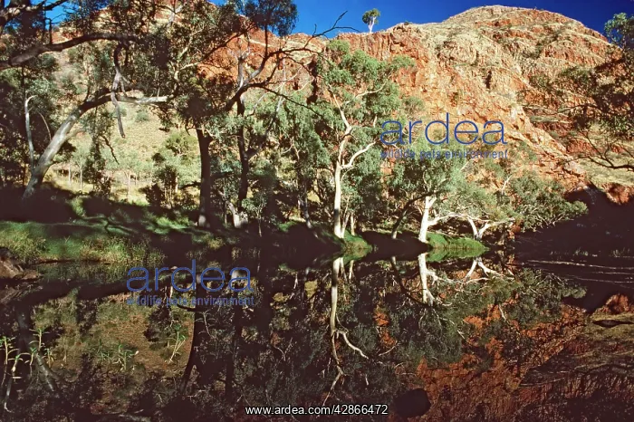 : Ormiston Gorge area West MacDonnell National Park : Ormiston Gorge area West MacDonnell National Park