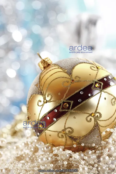 : Ornamental Christmas ball on a pearl necklace : Ornamental Christmas ball on a pearl necklace