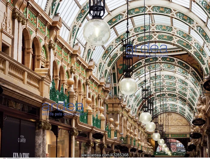 : Ornate Glass Roof at County Arcade in the Victoria : Ornate Glass Roof at County Arcade in the Victoria