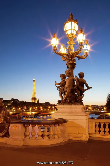 : Ornate lamppost from Pont Alexandre III : Ornate lamppost from Pont Alexandre III