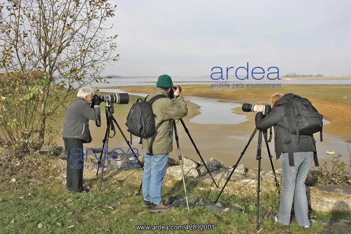 : Ornithologist / Birdwatchers and photographers : Ornithologist / Birdwatchers and photographers
