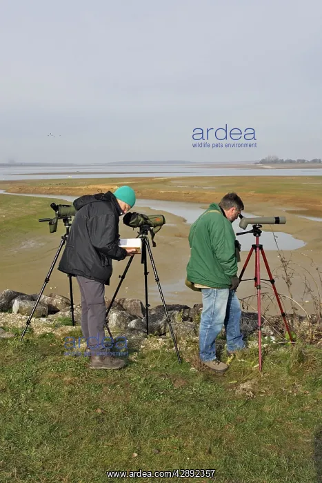 : Ornithologist / Birdwatchers and photographers : Ornithologist / Birdwatchers and photographers