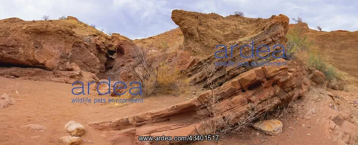 : Orocopia Mountains, California : Orocopia Mountains, California