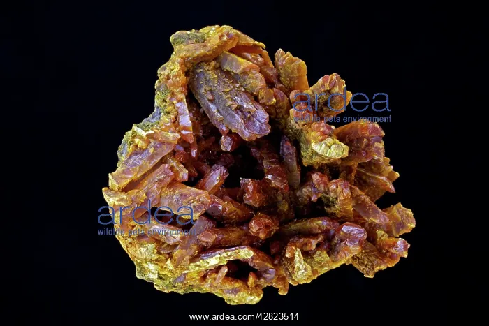 : Orpiment - Shimen Mine - ore of arsenic - used : Orpiment - Shimen Mine - ore of arsenic - used