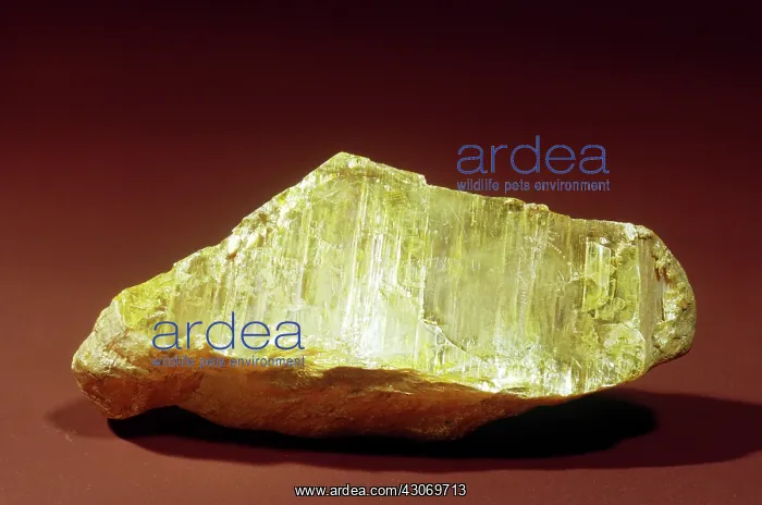 : Orpiment from Yakutia, Siberia : Orpiment from Yakutia, Siberia