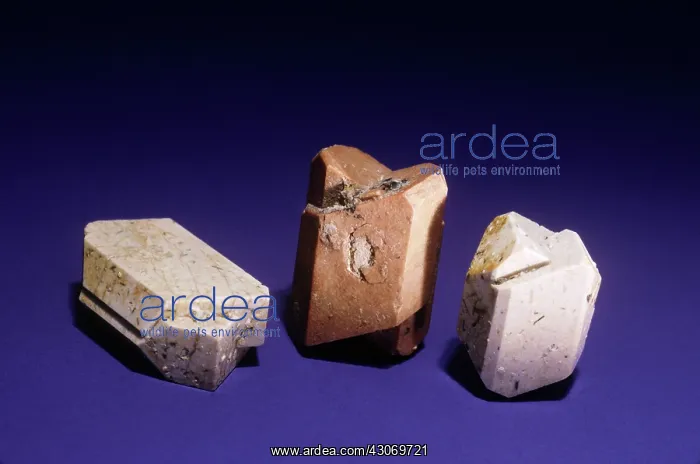 : Orthoclase, Carlsbad twins : Orthoclase, Carlsbad twins