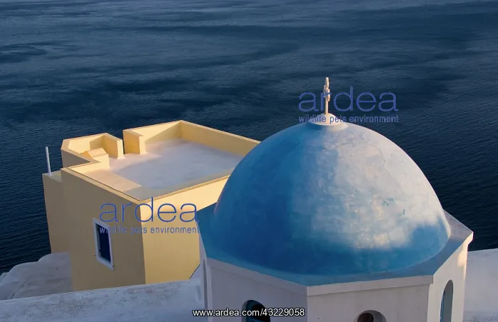 : An Orthodox Church near the sea, Oia Santorini : An Orthodox Church near the sea, Oia Santorini
