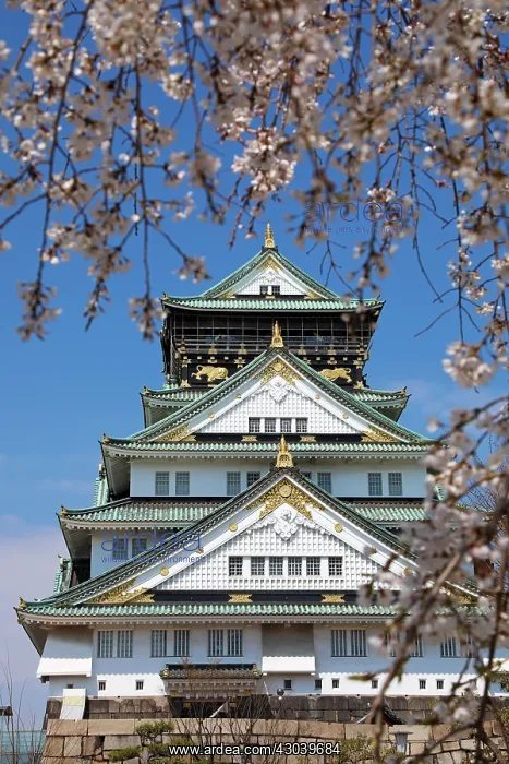  : Osaka Castle seen through the branches of flowering