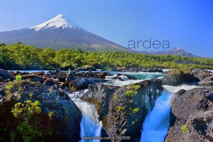 : Osorno and Saltos de Petrohue - snow-clad volcano : Osorno and Saltos de Petrohue - snow-clad volcano
