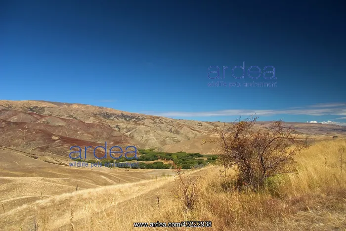 : Otago, Canterbury, New Zealand. Scenic stops : Otago, Canterbury, New Zealand. Scenic stops