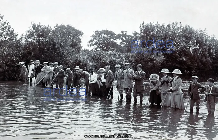 : Otter hunting - Devon - early 20th century : Otter hunting - Devon - early 20th century