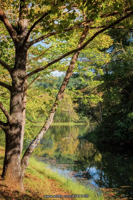 : Otter Lake, Blue Ridge Parkway, Smoky Mountains, USA : Otter Lake, Blue Ridge Parkway, Smoky Mountains, USA