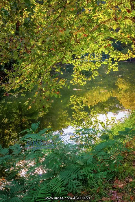 : Otter Lake, Blue Ridge Parkway, Virginia, USA : Otter Lake, Blue Ridge Parkway, Virginia, USA