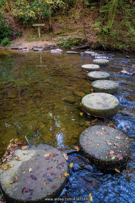 : Otter Lake Creek stepping stones, Blue Ridge Parkway : Otter Lake Creek stepping stones, Blue Ridge Parkway