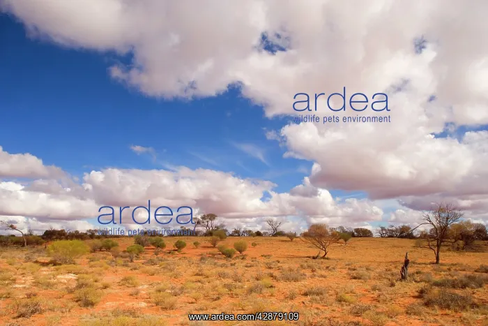 : Outback and clouds - rare clouds are forming over : Outback and clouds - rare clouds are forming over