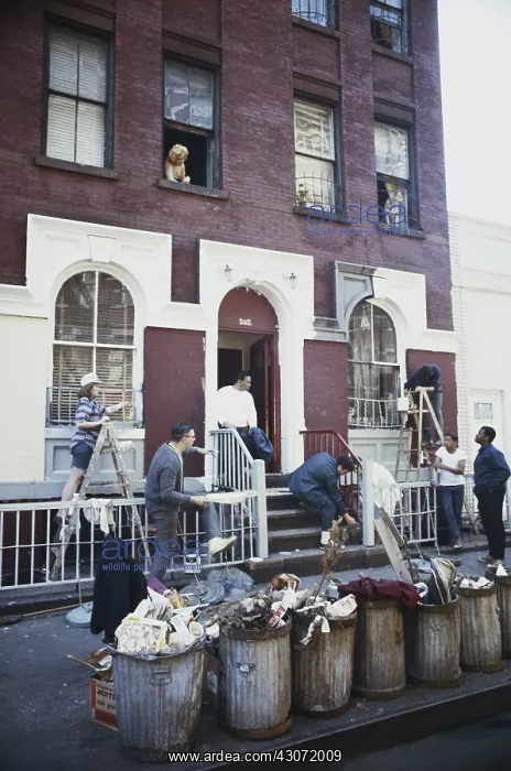 : Outdoor Spring Cleaning, NYC : Outdoor Spring Cleaning, NYC