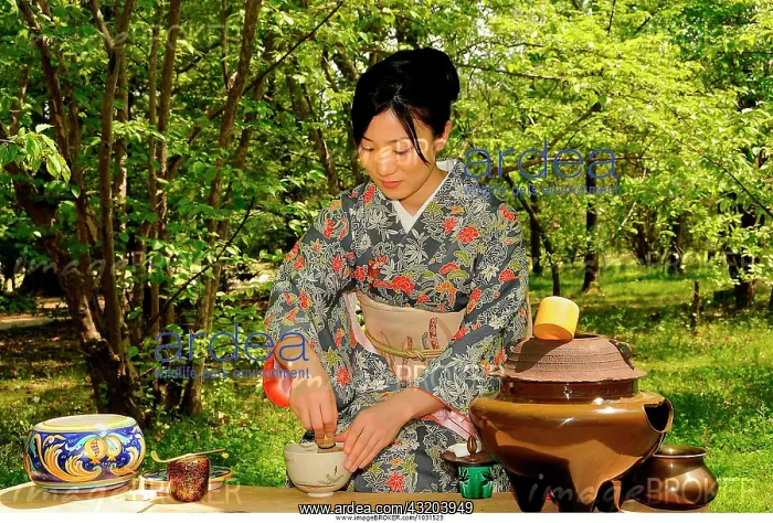 : Outdoor tea ceremony in Kyoto, Japan, Asia : Outdoor tea ceremony in Kyoto, Japan, Asia
