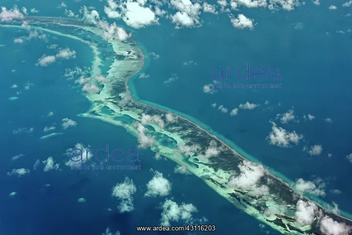 : Outer reef with large dredged sand areas for land : Outer reef with large dredged sand areas for land