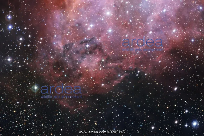 : Outer space, cosmic landscape. Nebula. Elements : Outer space, cosmic landscape. Nebula. Elements