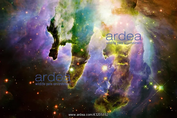: Outer space, cosmic landscape. Nebula. Elements : Outer space, cosmic landscape. Nebula. Elements