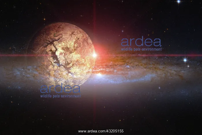 : Outer space, cosmic landscape. Nebula. Elements : Outer space, cosmic landscape. Nebula. Elements