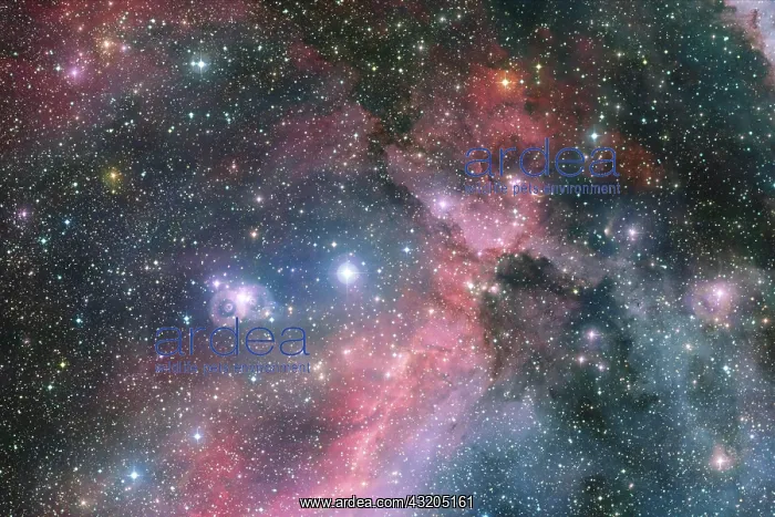 : Outer space, cosmic landscape. Nebula. Elements : Outer space, cosmic landscape. Nebula. Elements