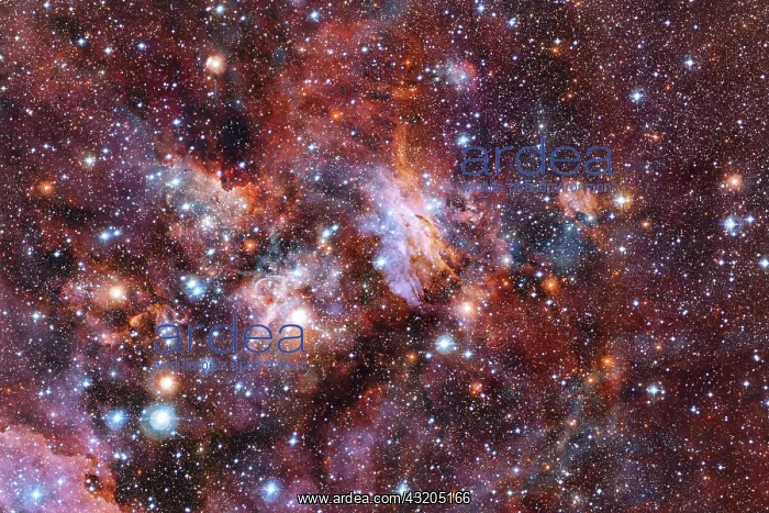 : Outer space, cosmic landscape. Nebula. Elements : Outer space, cosmic landscape. Nebula. Elements