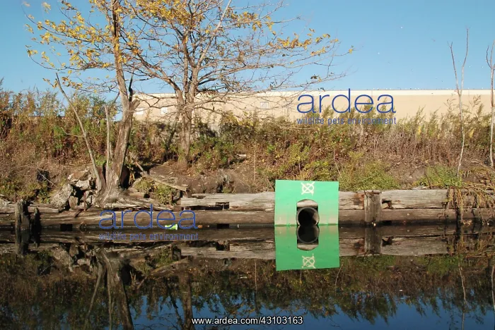 : Outlet Pipe, Newtown Creek Superfund Site, NYC : Outlet Pipe, Newtown Creek Superfund Site, NYC