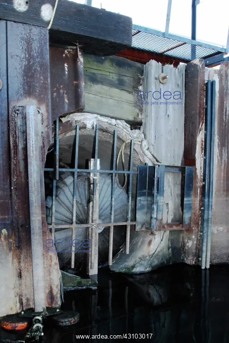  : Outlet Pipe on Polluted Newtown Creek, NYC