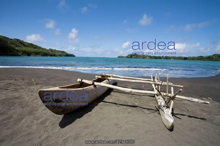 : Outrigger canoe : Outrigger canoe