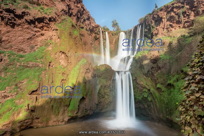 : Ouzoud Waterfalls and Cascades, Cascades d'Ouzoud : Ouzoud Waterfalls and Cascades, Cascades d'Ouzoud